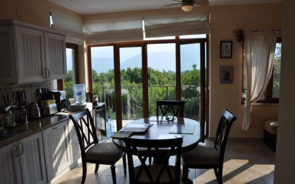 PHOTO 2024 08 20 18 40 32 9