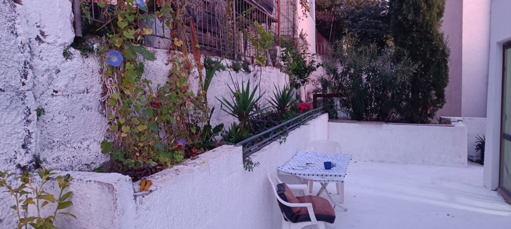 dom s dvumya otdelnymi apartamentami sadom parkovkoj i terrasami v sutomore 08