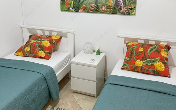 prostornyj dupleks s panoramnym vidom garazhom i dizajnerskim intererom v krashichi 09