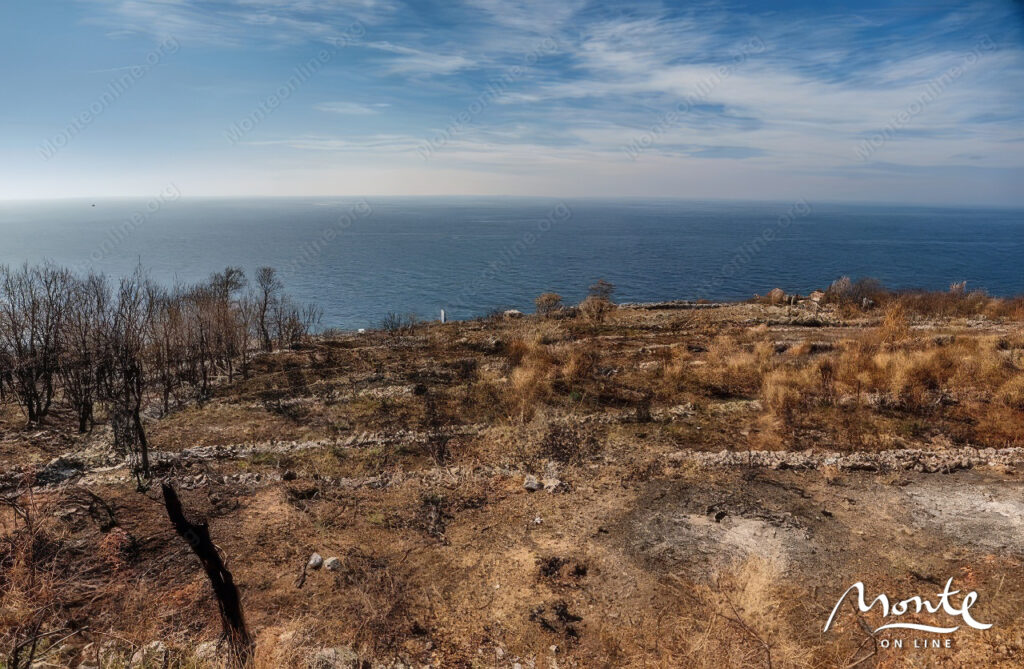 zemelnyj uchastok pod zastrojku v rezhevichah s panoramnym vidom na adriatiku 03