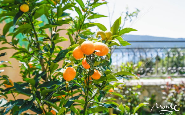 sovremennyj 2 etazhnyj dom s 3 spalnyami i vidom na more v zelenike 09