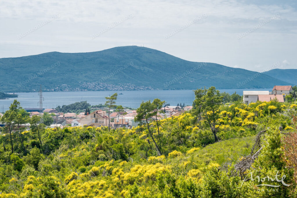 sovershenno novaya villa s bassejnom v prigorode tivata 41