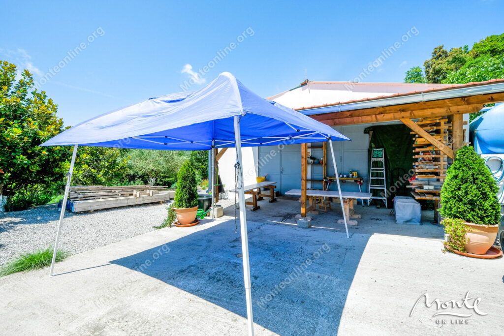 dom s panoramnym vidom bolshim uchastkom i sadom nedaleko ot budvy 17