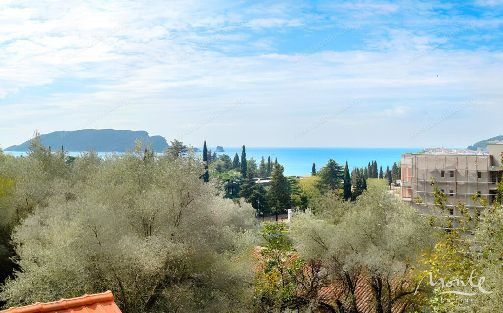 villa milana prostornaya villa s sadom v budve vsego 6 minut ot morya 02