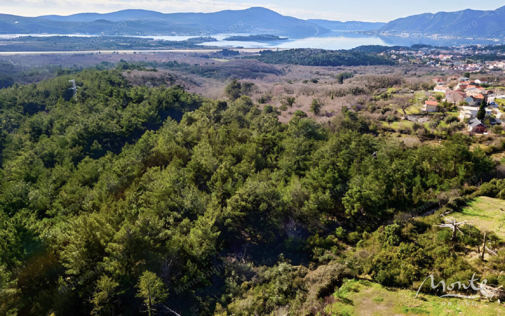 eksklyuzivnyj dom s bolshim uchastkom v eko posyolke v kavache 18