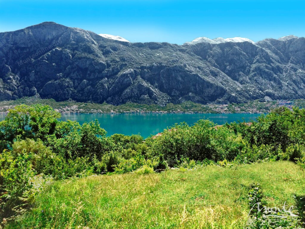 eksklyuzivnyj uchastok s unikalnymi vidami v pos prchan 05