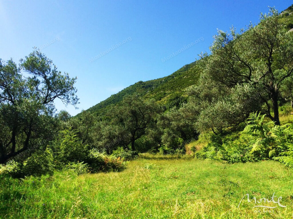 eksklyuzivnyj uchastok s unikalnymi vidami v pos prchan 07