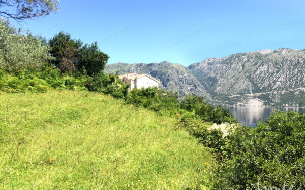 eksklyuzivnyj uchastok s unikalnymi vidami v pos prchan 10