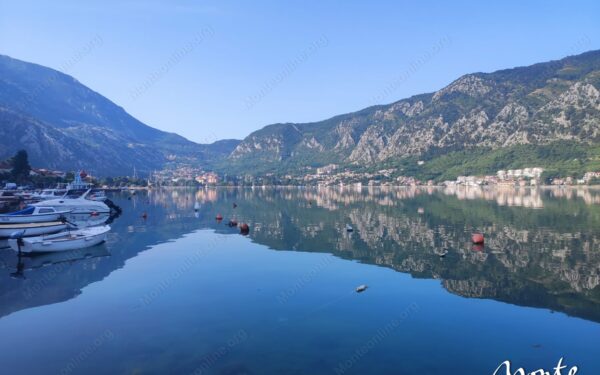 eksklyuzivnyj uchastok s unikalnymi vidami v pos prchan 15