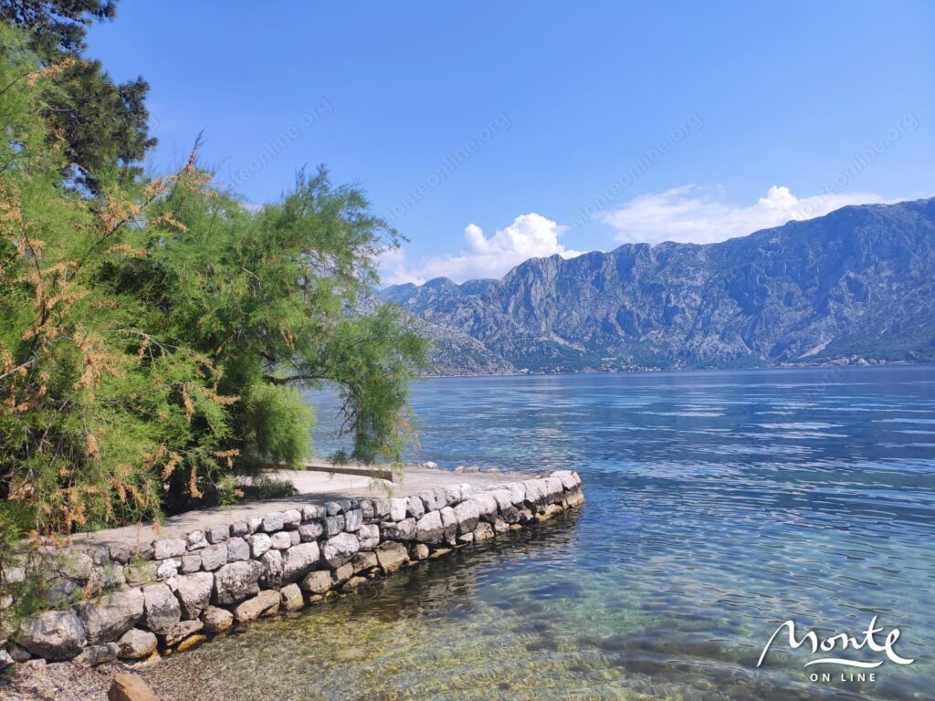 eksklyuzivnyj uchastok s unikalnymi vidami v pos prchan 16