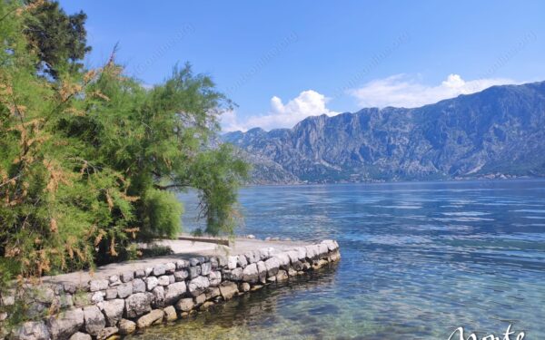 eksklyuzivnyj uchastok s unikalnymi vidami v pos prchan 16