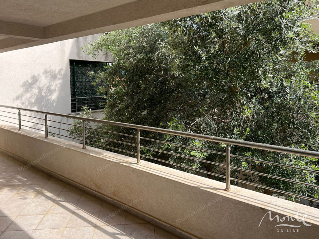 prostornaya kvartira s dvumya terrasami v petrovcze 09