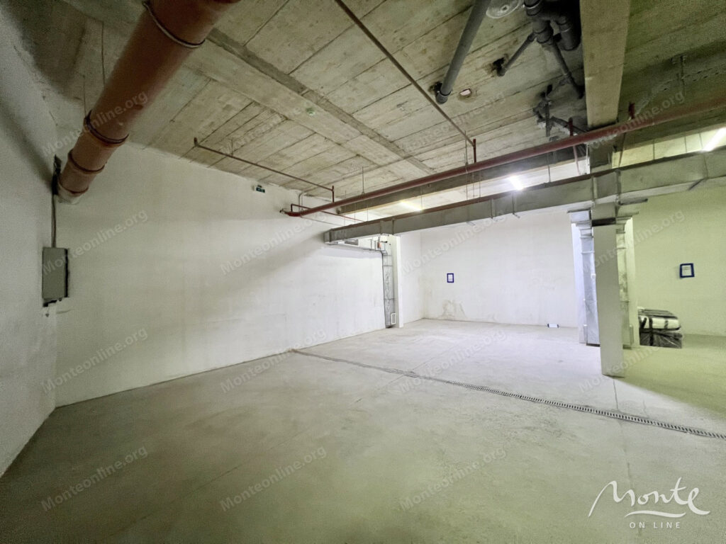 prostornyj penthaus s 2 spalnyami tremya terrasami i garazhom v bechichi 25