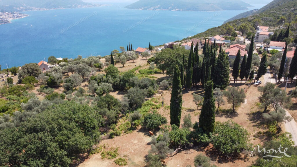 uchastok zemli v spokojnom i zelenom rajone sutorina herczeg novi 02
