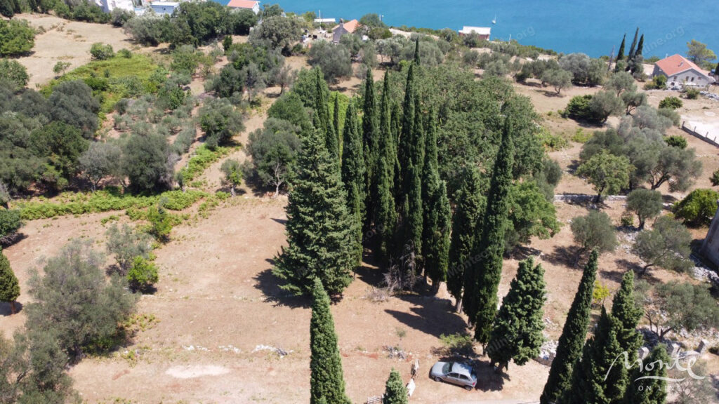 uchastok zemli v spokojnom i zelenom rajone sutorina herczeg novi 03