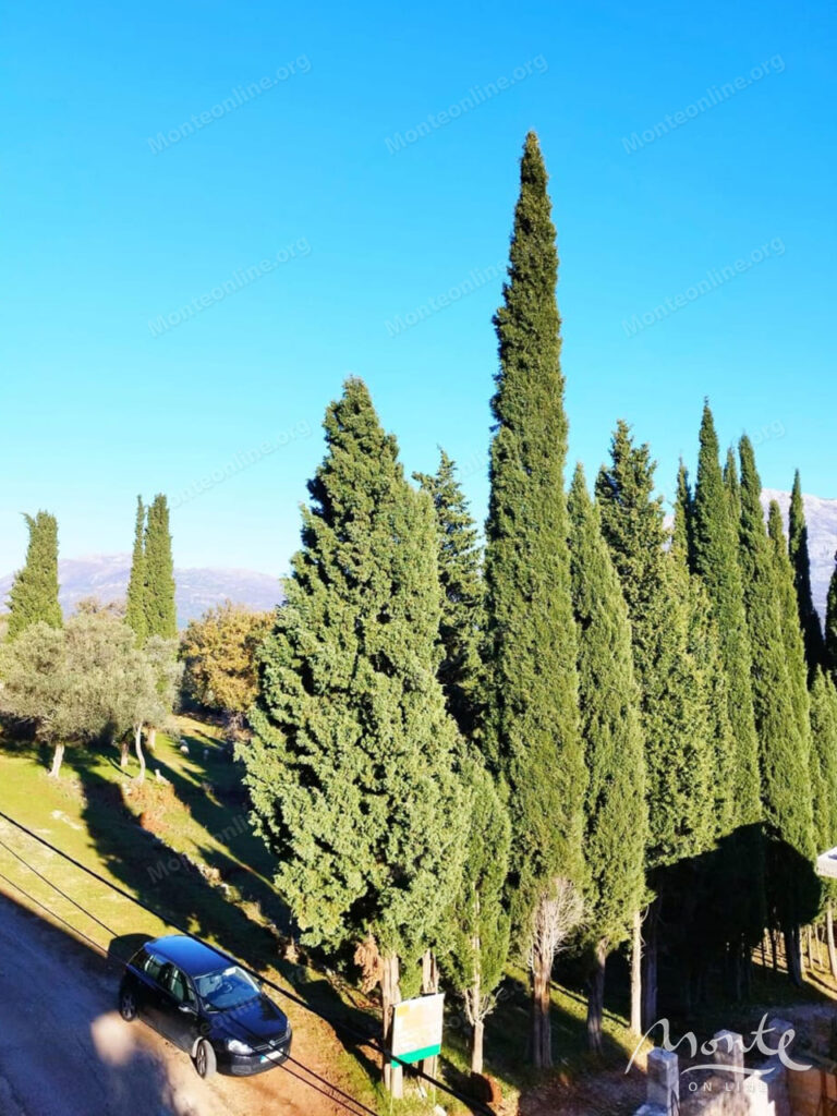 uchastok zemli v spokojnom i zelenom rajone sutorina herczeg novi 04