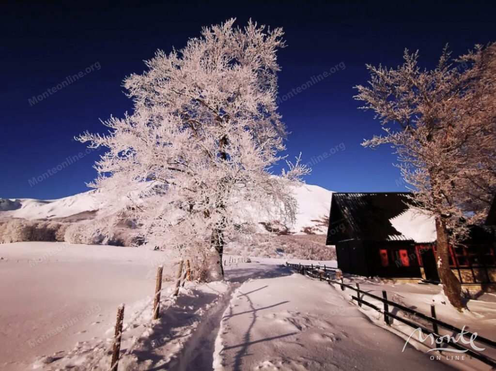 dom s vidom na durmitor u gornolyzhnogo kurorta savin kuk zhablyak 34