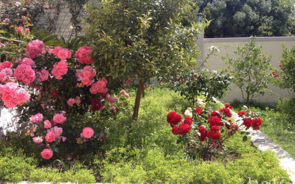 prostornaya 3 etazhnaya villa s sadom bassejnom i vidom na more v utehe bar 37