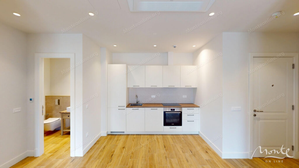 prostornaya studiya v prestizhnom komplekse lushticza bej centrale 08