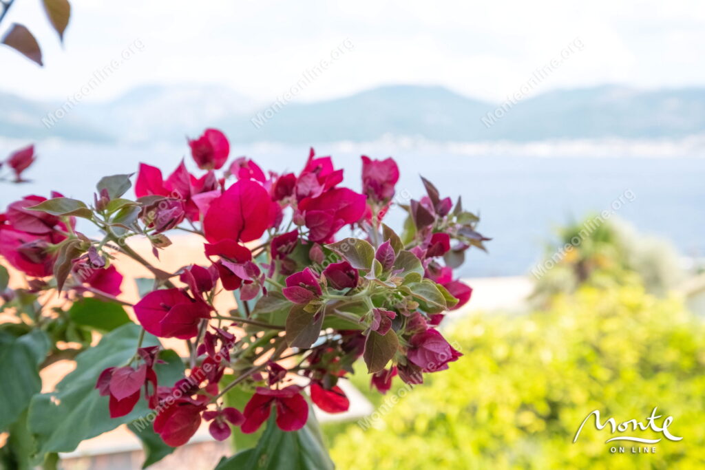 uyutnyj dom s terrasami i vidom na more v 100 m ot plyazha krashichi 42