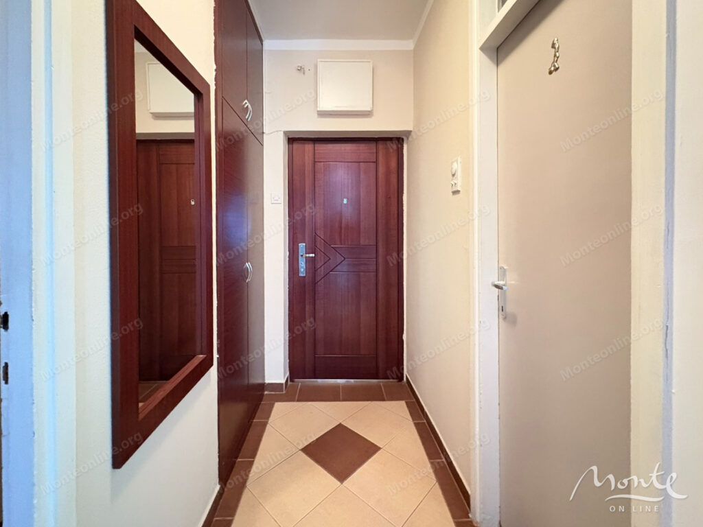 svetlaya kvartira s 1 spalnej v rajone momishichi podgoricza 06