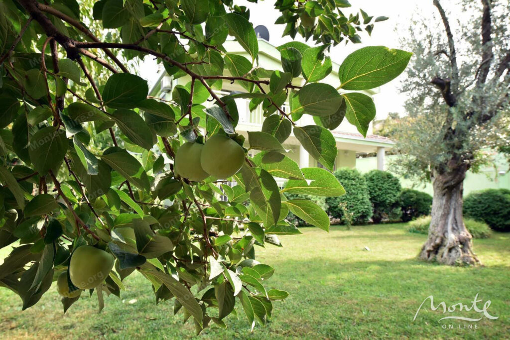 sovremennyj meblirovannyj dom s sadom v tihom rajone ryadom s podgoriczej 29