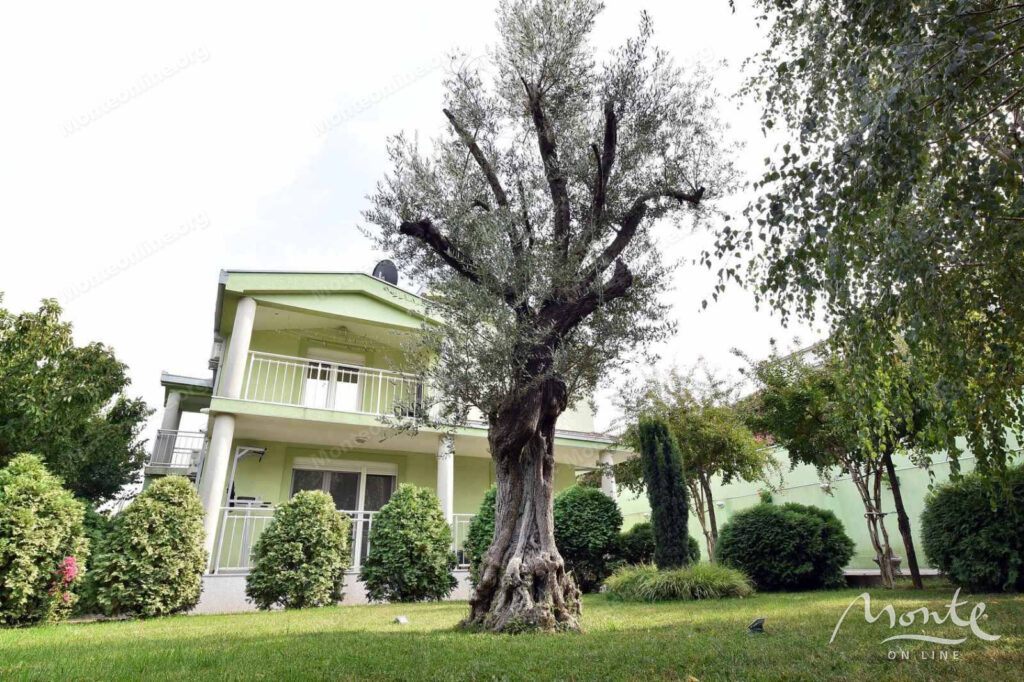 sovremennyj meblirovannyj dom s sadom v tihom rajone ryadom s podgoriczej 30