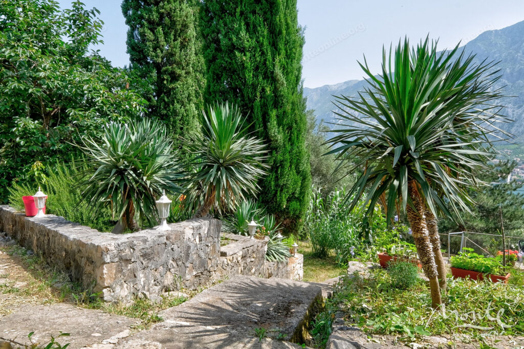 dvuhetazhnyj dom u morya s sadom i garazhom v zhivopisnom muo kotor 34