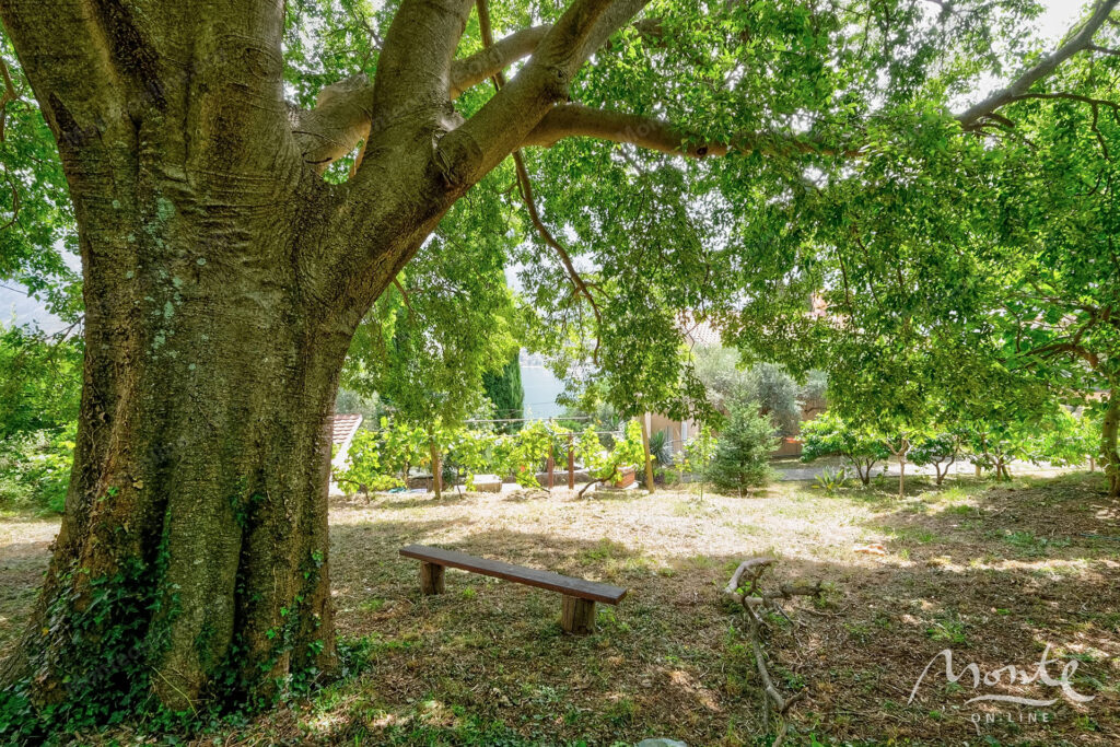 dvuhetazhnyj dom u morya s sadom i garazhom v zhivopisnom muo kotor 45