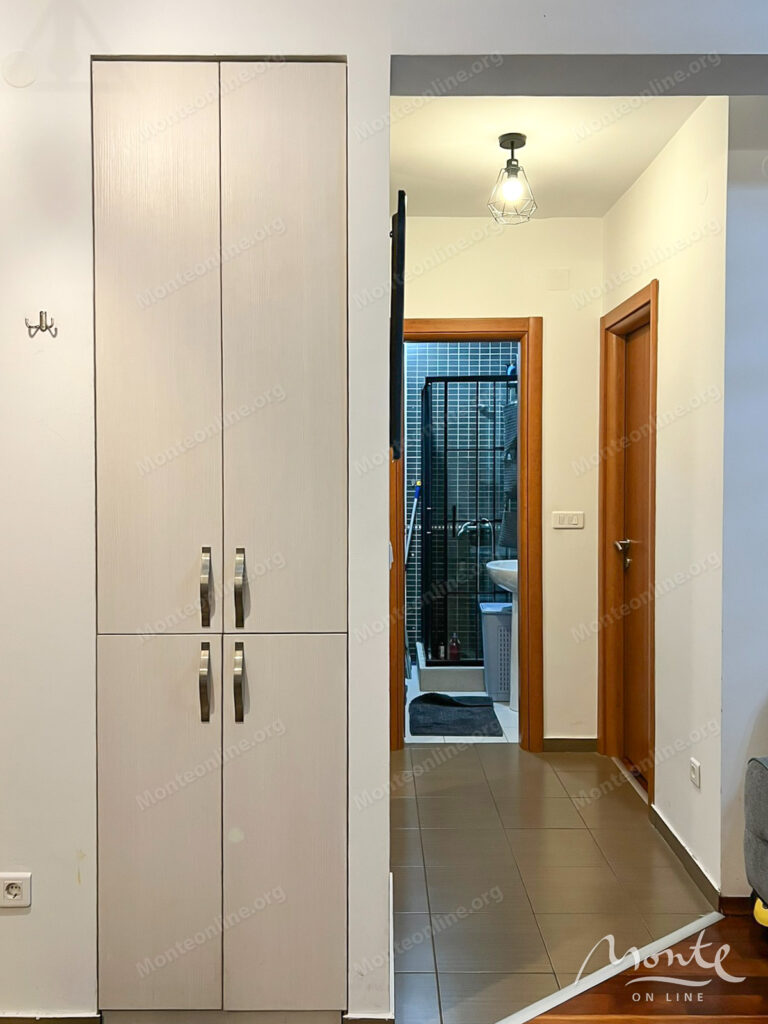 One-bedroom apartment with a spacious terrace in the central part of Podgorica 06