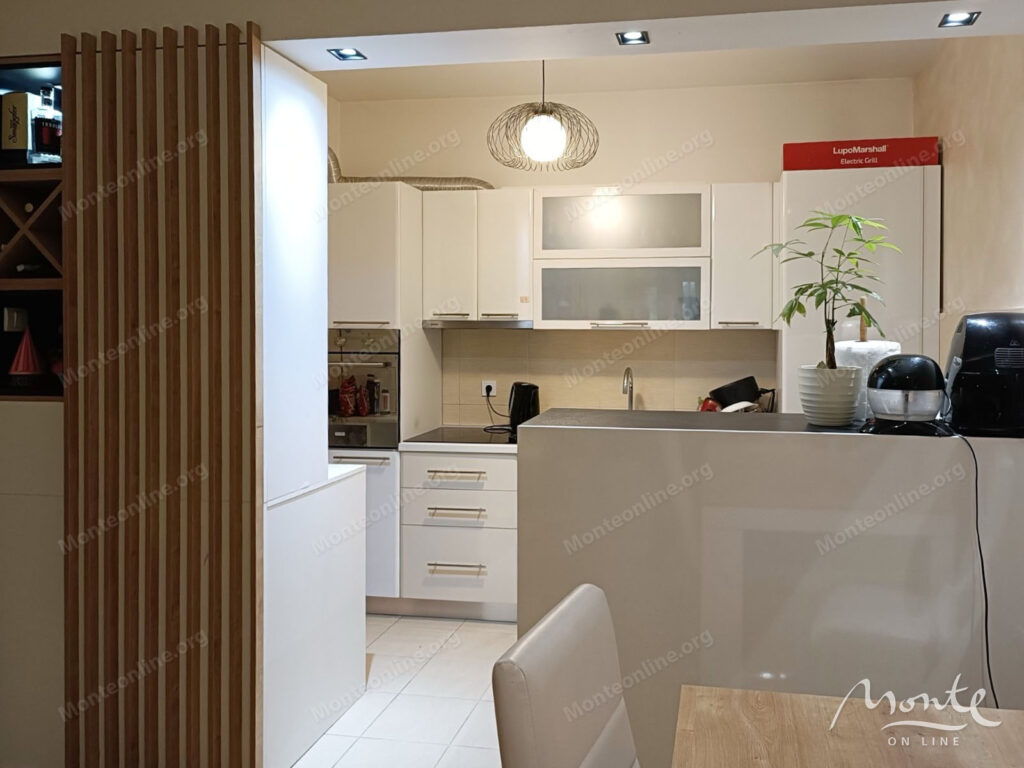 prostornaya kvartira s 1 spalnej i privatnym dvorom v podgoricze 03