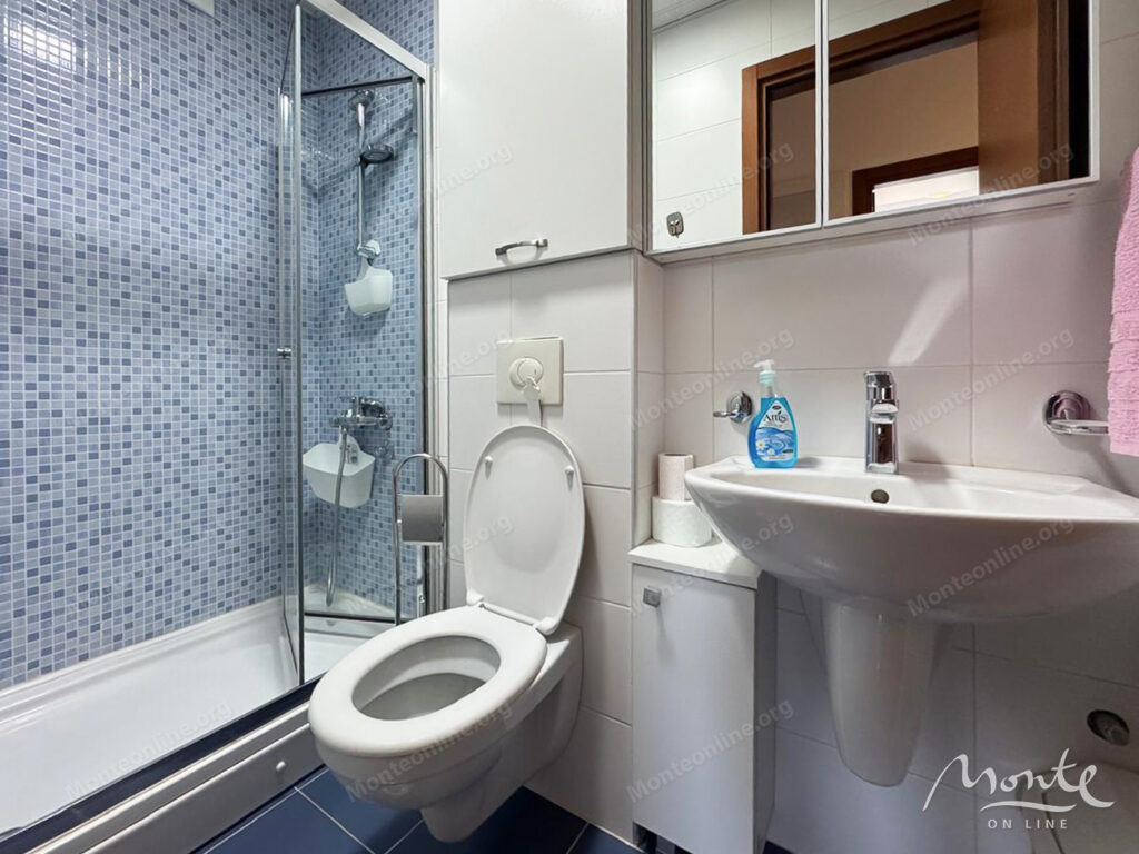 prostornaya kvartira s 2 spalnyami ryadom s torgovym czentrom delta city podgoricza 10