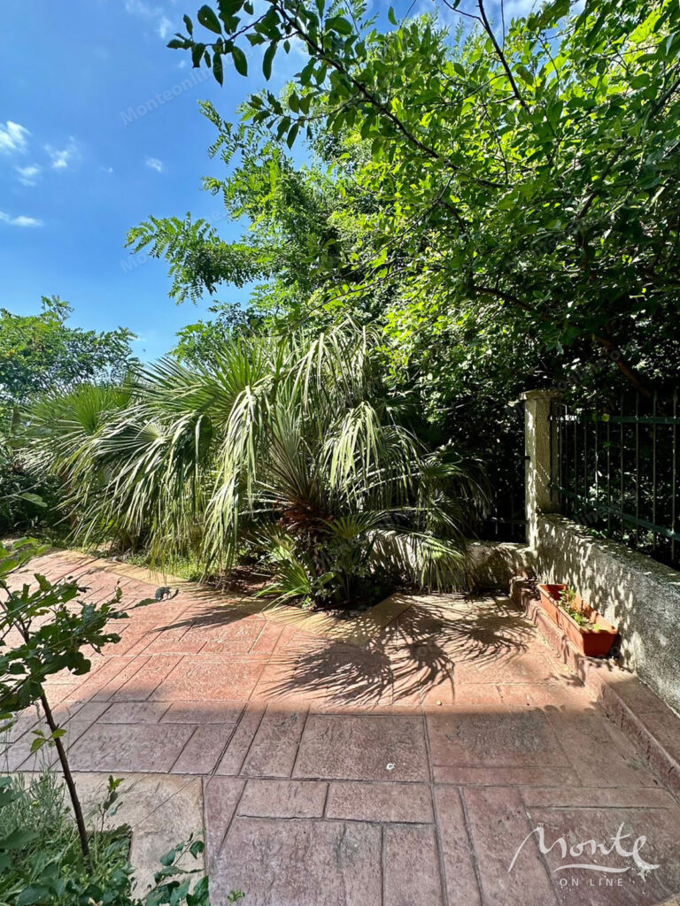 prostornaya kvartira s 3 spalnyami i sobstvennym dvorikom v petrovacz 11