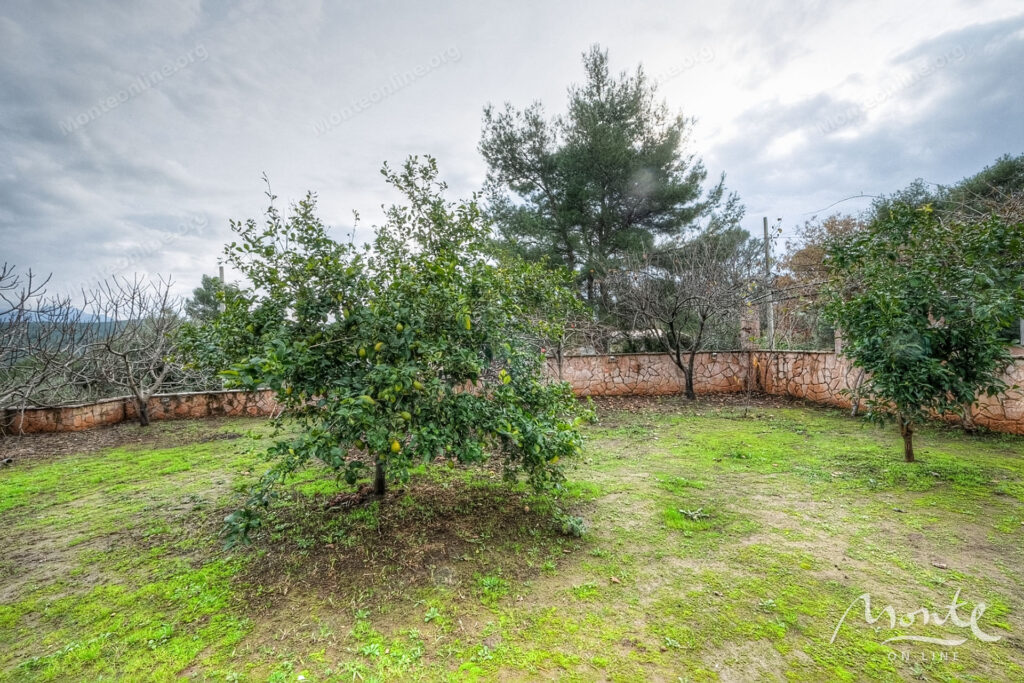 roskoshnaya villa klassa lyuks v radovichi lushticza 43