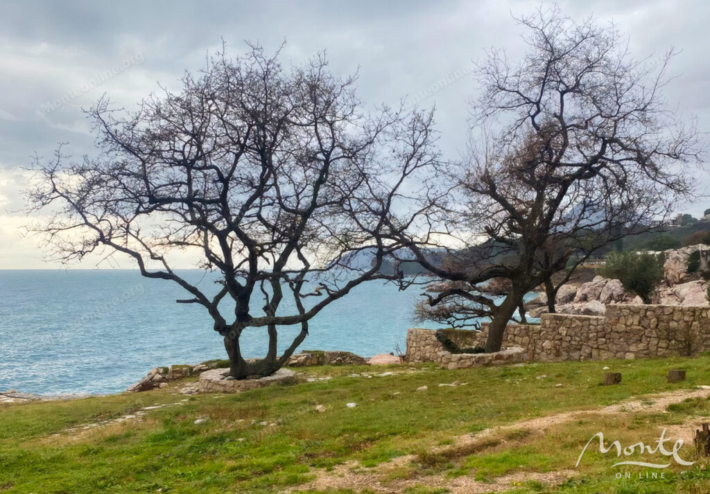 investiczionnyj uchastok na beregu morya pod stroitelstvo otelya v shushani bar 01