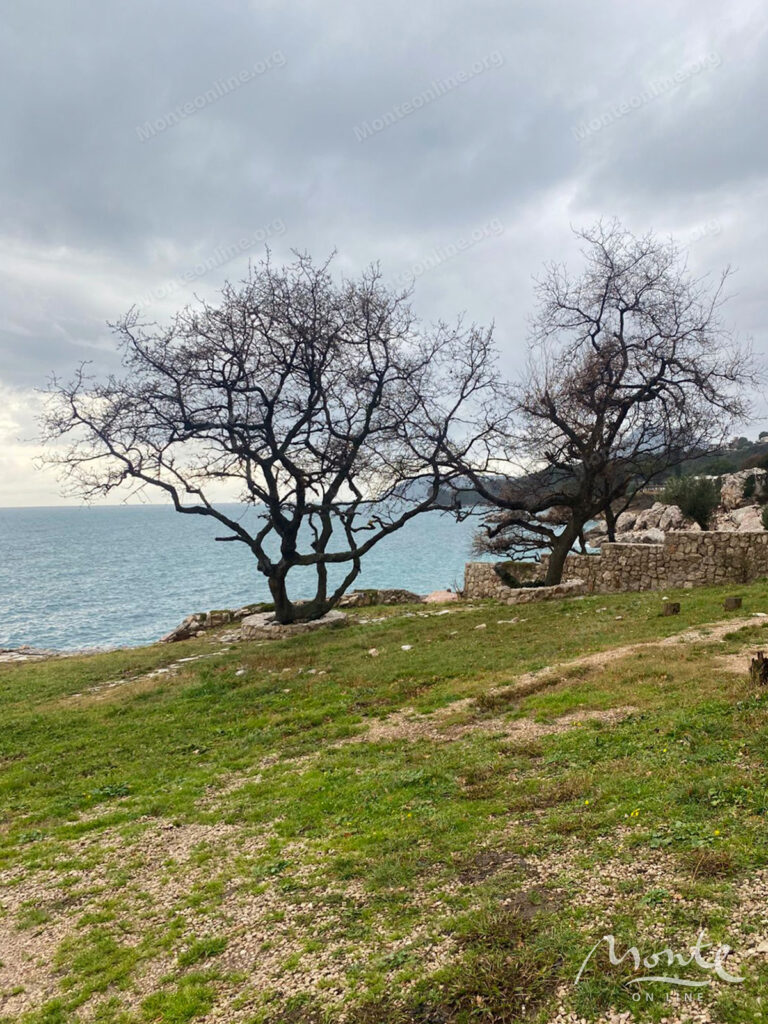 investiczionnyj uchastok na beregu morya pod stroitelstvo otelya v shushani bar 05