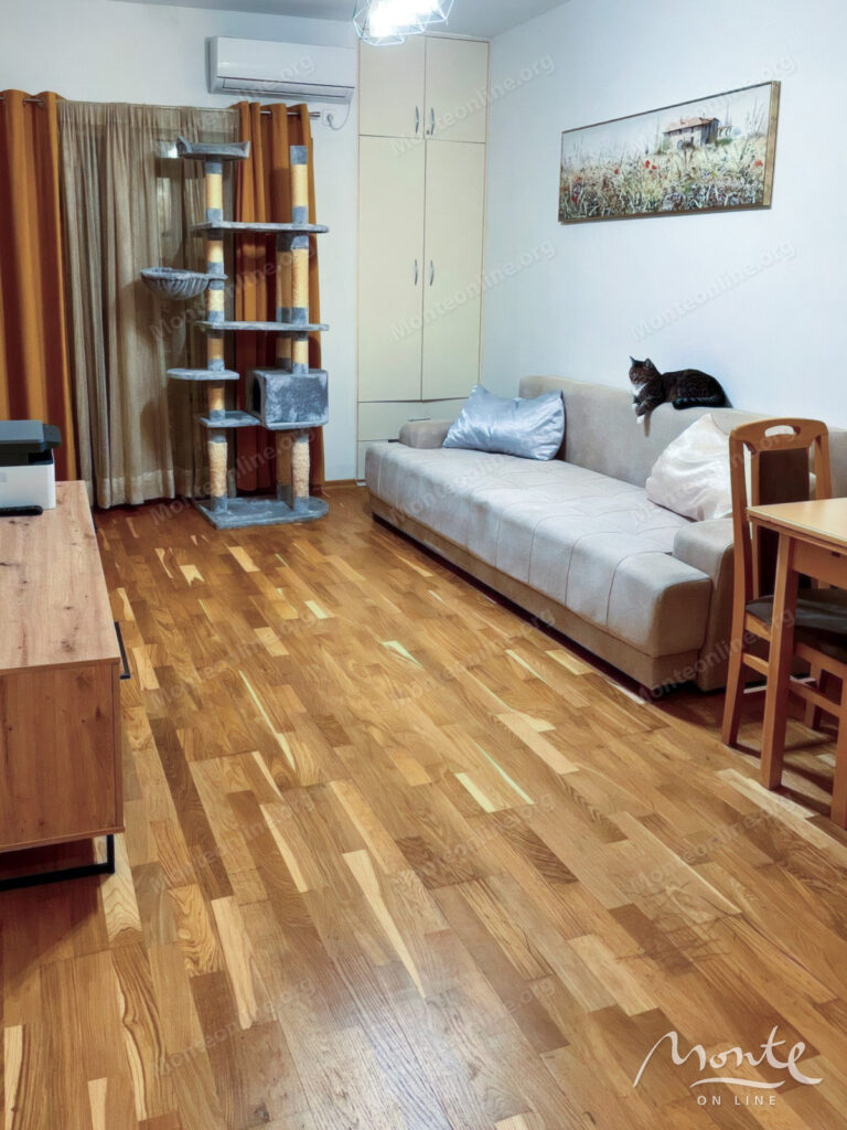 uyutnaya kvartira s 1 spalnej terrasoj i vidom na gory v budve 01