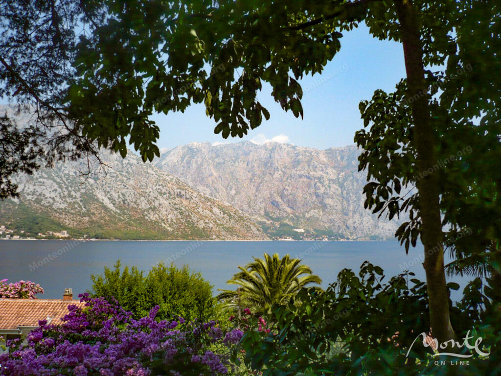 dom v 30 metrah ot morya s garazhom v stolive kotor 14