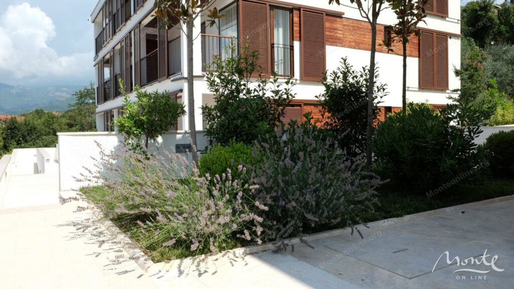 kvartira v novom zhilom komplekse v tivate 04