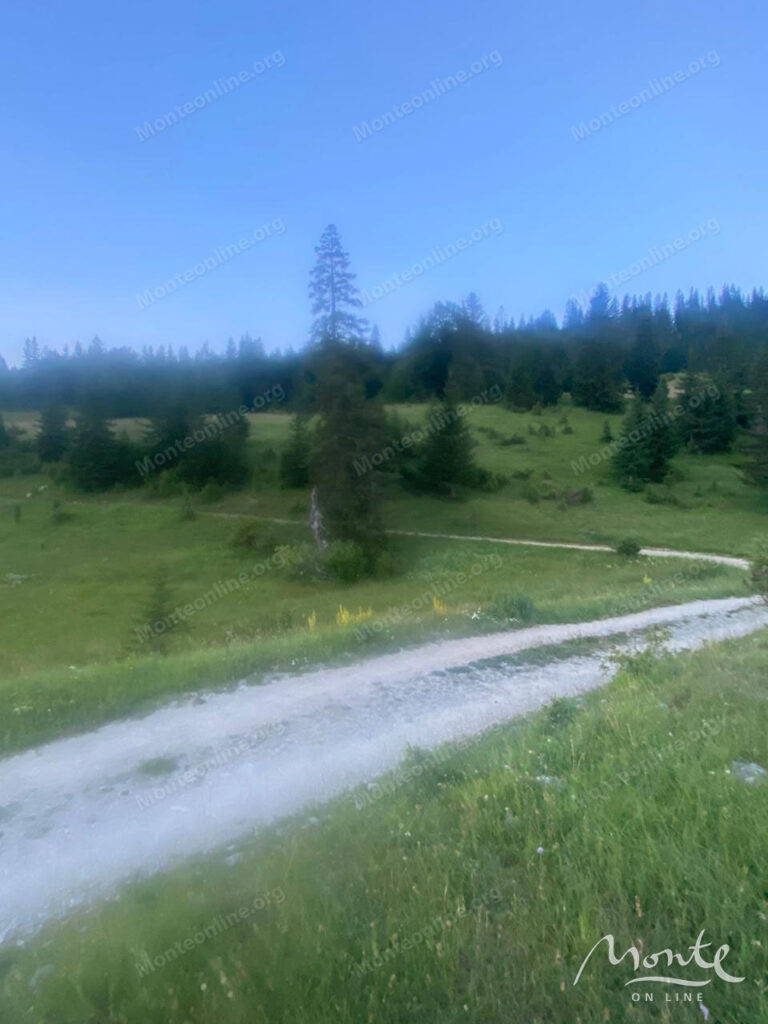 uchastok pod eko i selskij turizm v rajone zhablyaka sinyaevina 03