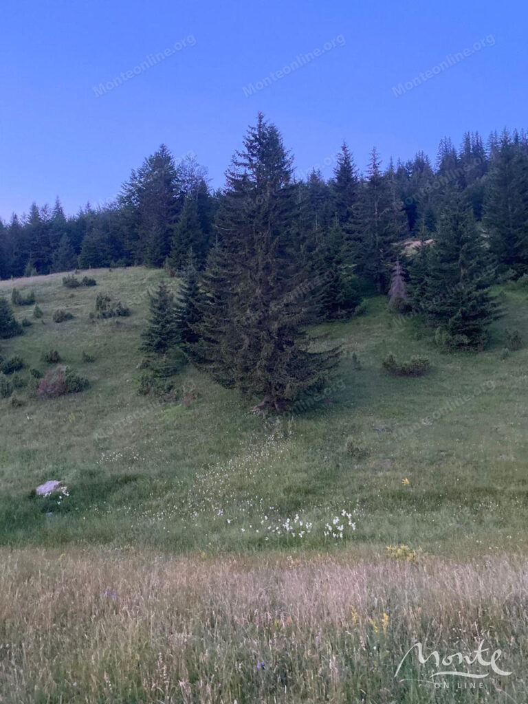 uchastok pod eko i selskij turizm v rajone zhablyaka sinyaevina 07