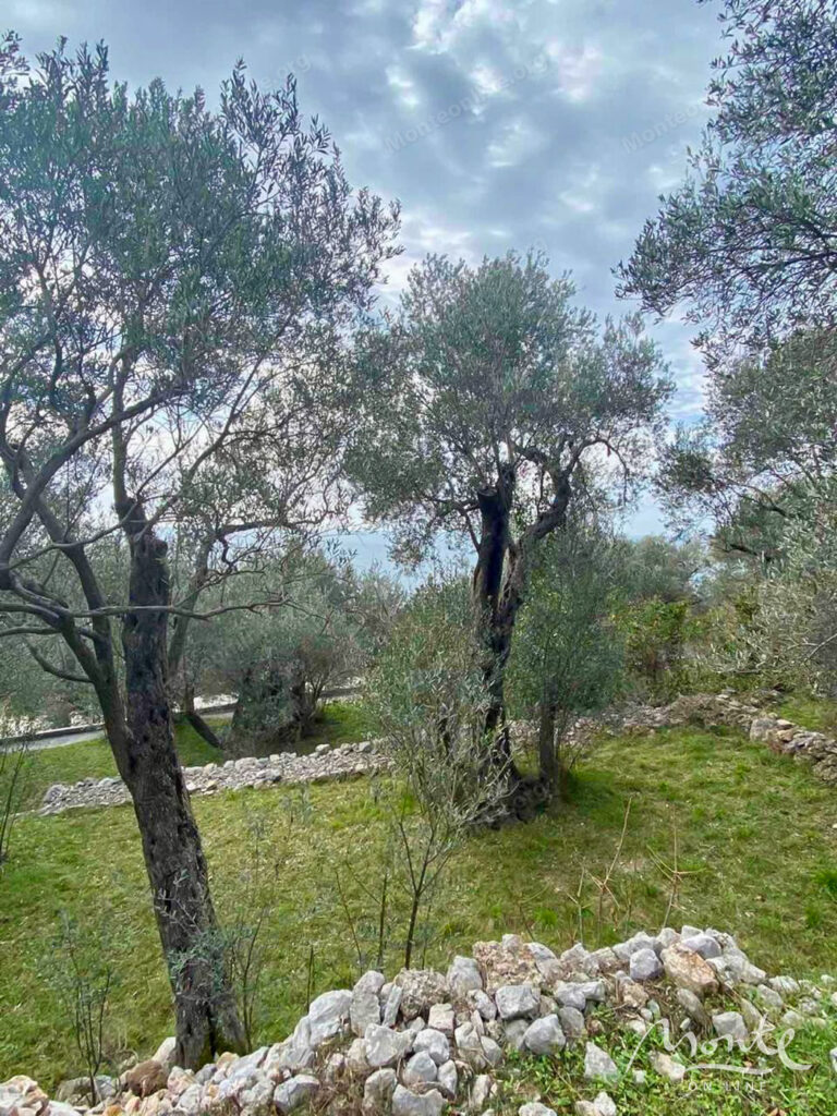 zemelnyj uchastok v perspektivnom rajone rezhevichi 05