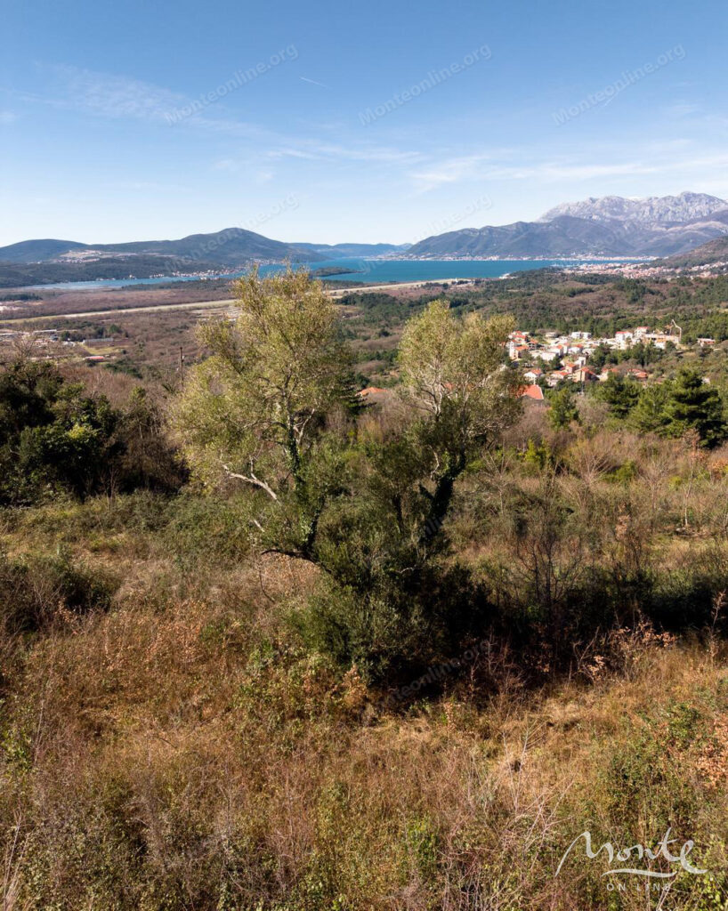 eksklyuzivnyj investiczionnyj uchastok v kotore rajon dub proekt villa premium class 05