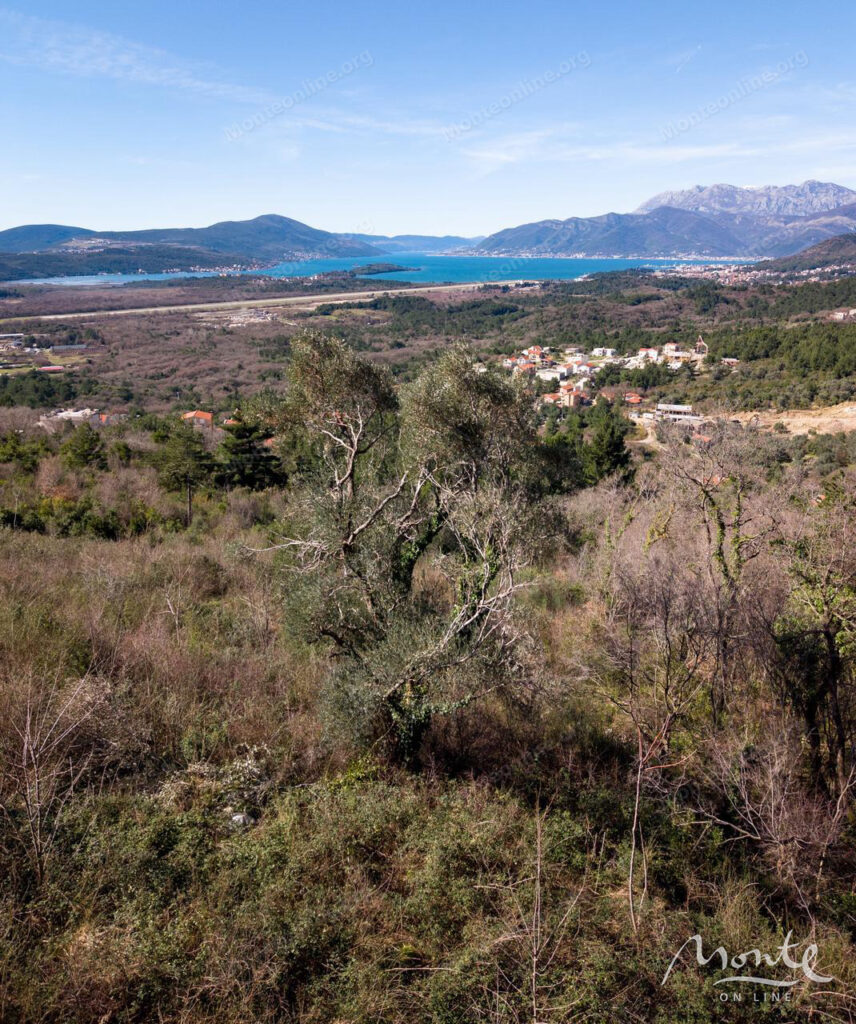 eksklyuzivnyj investiczionnyj uchastok v kotore rajon dub proekt vill premium class 06