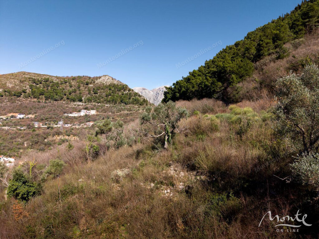 eksklyuzivnyj investiczionnyj uchastok v kotore rajon dub proekt villa premium class 07