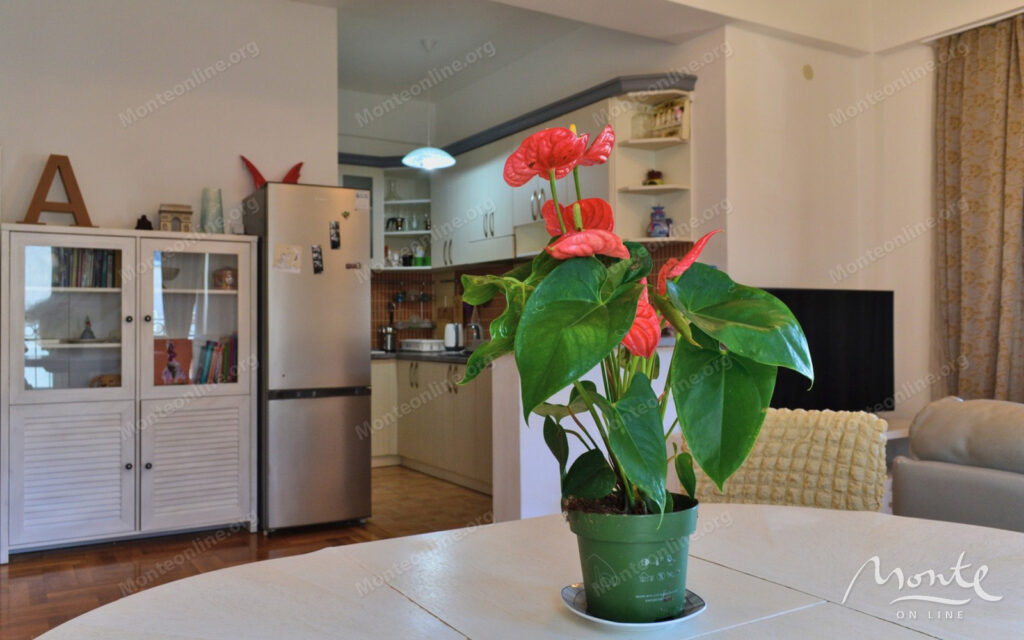 kvartira s 1 spalnej v klubnom dome s bassejnom v budve 07