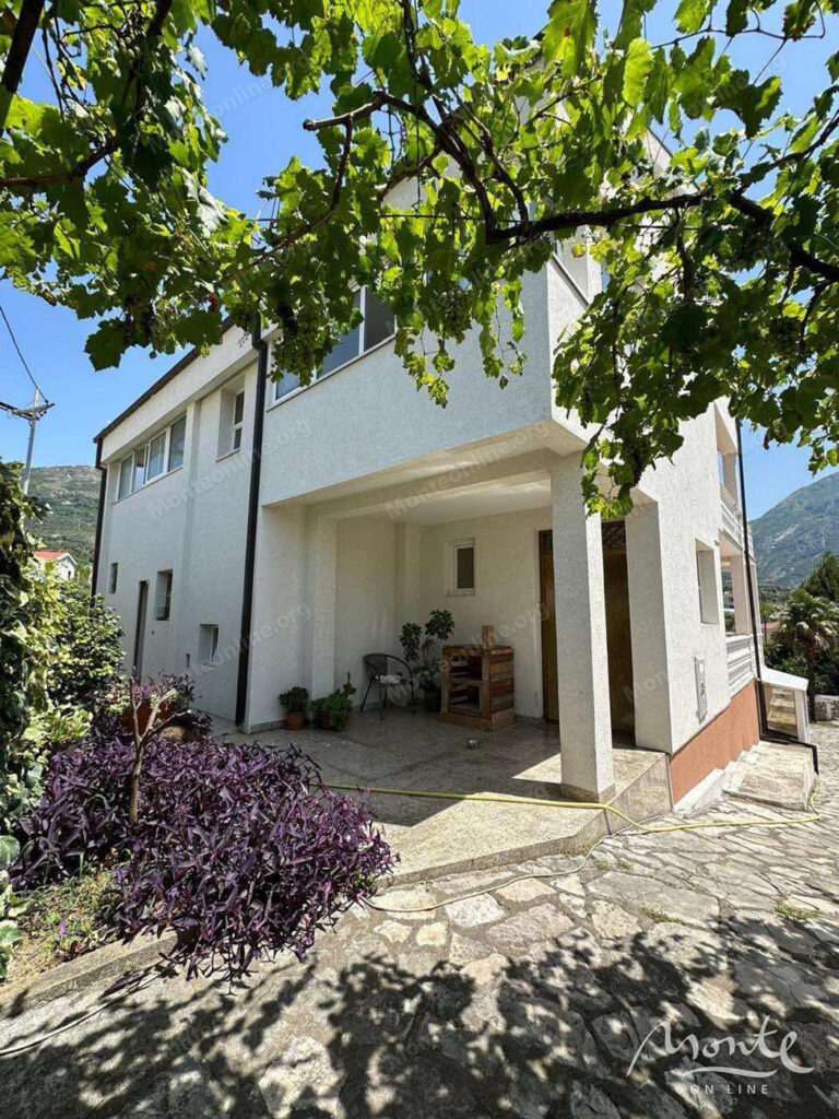 prostornyj semejnyj dom s bassejnom v bare 02