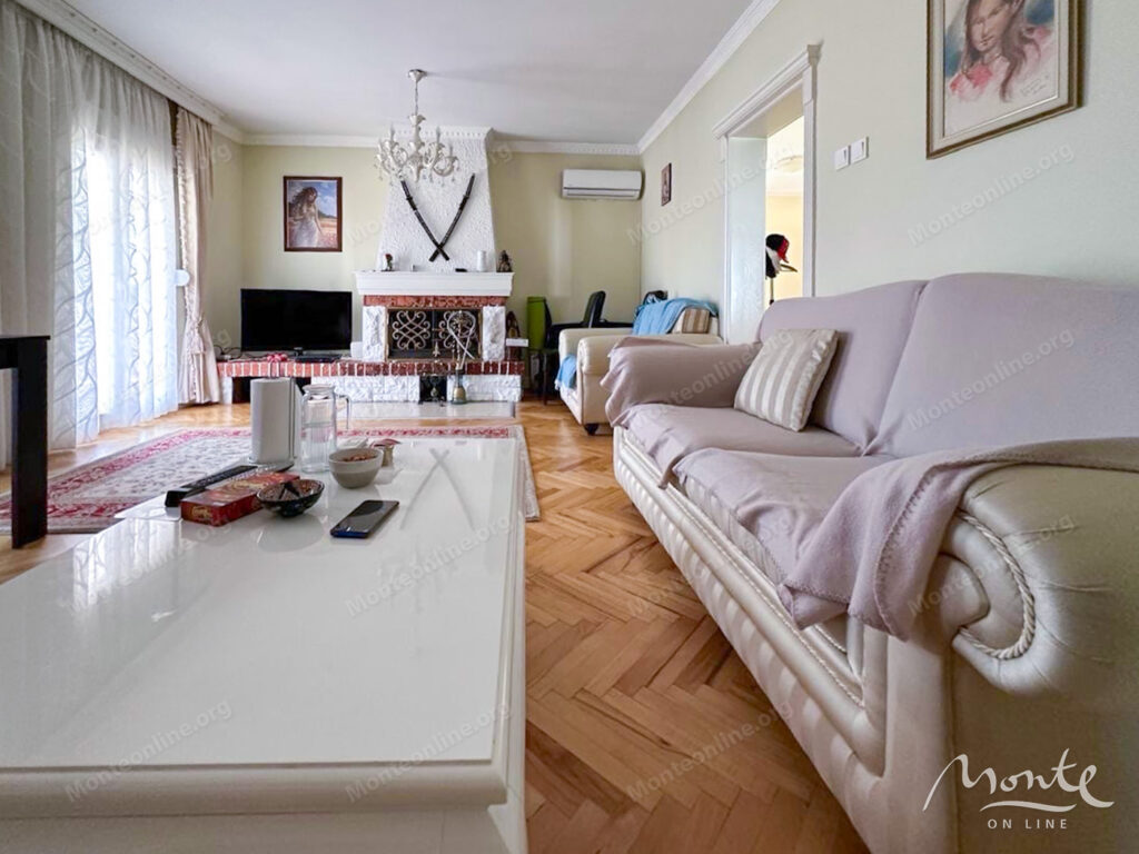 prostornyj semejnyj dom s bassejnom v bare 03