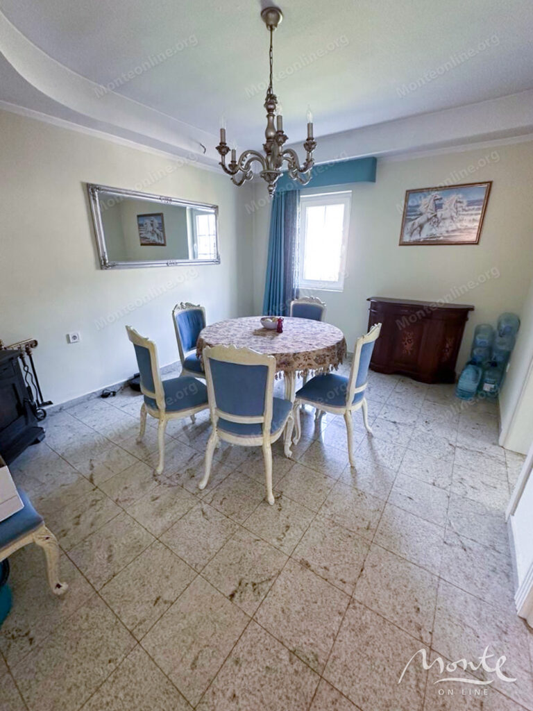 prostornyj semejnyj dom s bassejnom v bare 04