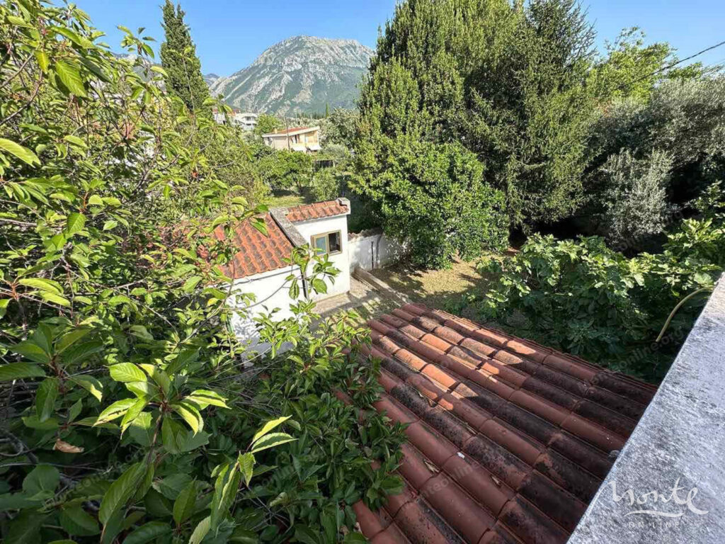 prostornyj semejnyj dom s bassejnom v bare 08